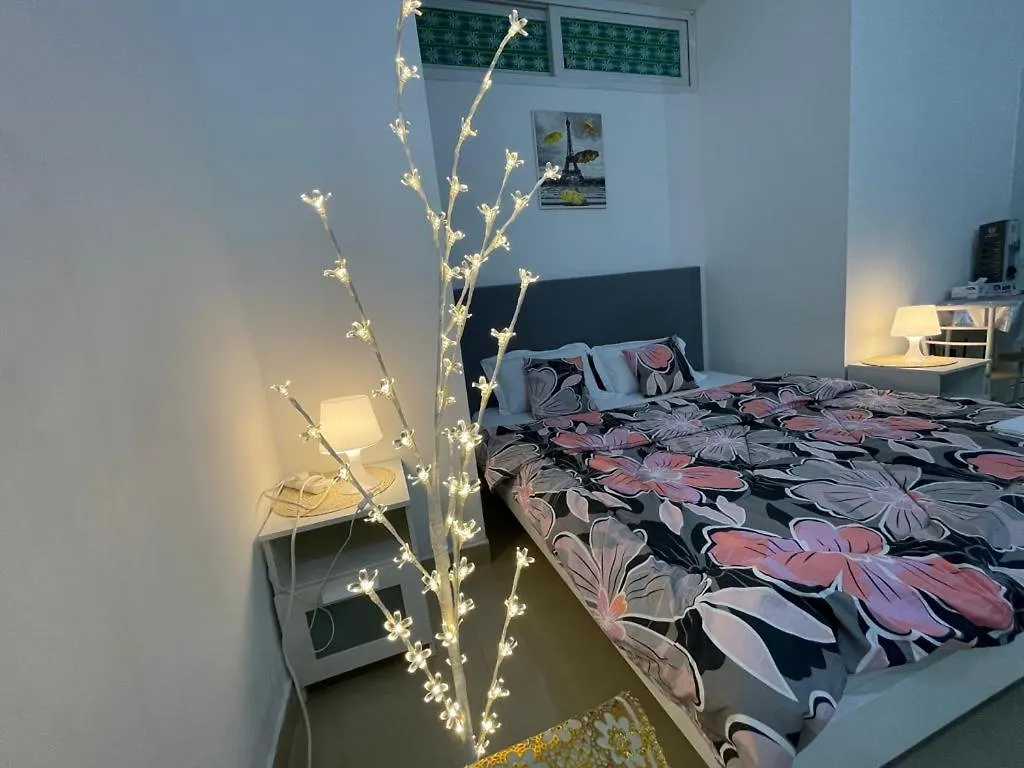 Private Cozy Furnished Studio No 14 Khalidiya Park Villa Abu Dhabi Uae